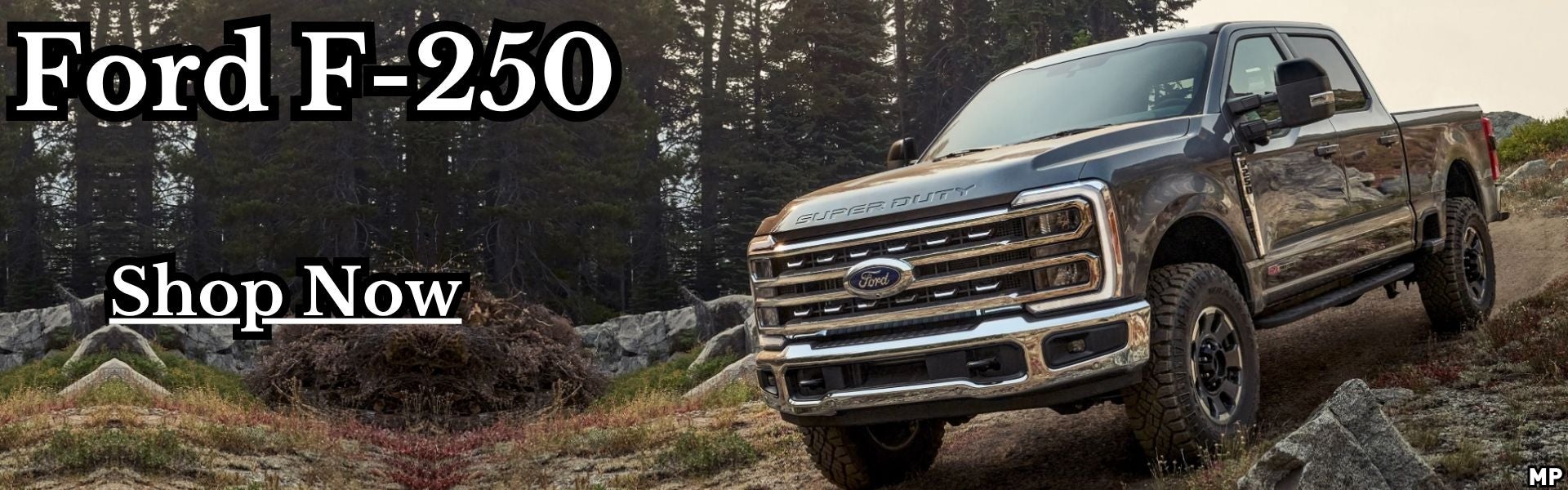 2025 Ford F-250 offer